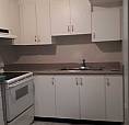 Basement Apt For Rent