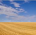 Farm Land For Sale