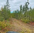 Agriculture Land For Sale In Yukon