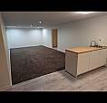 Inner City Basement For Rent 