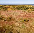 Seaside Blueberry Land For Sale