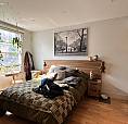 Appartement 3 1/2 à Louer Hochelaga Maisonneuve