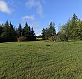 159 Acre Hobby Farm For Sale
