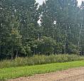 3 Acres Out Of Subdivision Parkland County 