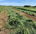 960 Acres Of Farm And Recreational Land In Northern Manitoba