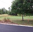 Land For Sale Pasadena
