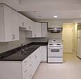 Markham Rd / 16th Ave. Basement Apartment (1b1b)