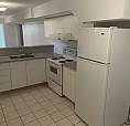 Birchmount And Danforth Basement Apartment
