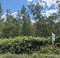New 4.4 Acre Lot In Rusagonis/ Lincoln Area