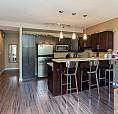 Executive Loft Condo - Furnished Or Unfurnished