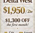 Rental Incentive! Renovated 2 Bed Available At Delta West! Cats
