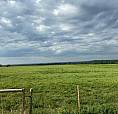 15 Beautiful Acres Between Drayton Valley And Breton