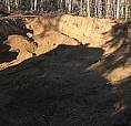16 Placer Gold Claims In Dawson City Mining District.