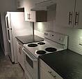 Spacious & Quiet Commercial Drive Area 2 Bdrm Garden Level Suite