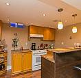 Shiny Basement For Rent