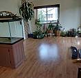 Bright Spacious 750-Square Foot 1 Bdrm Apartment In Mt Pleasant!