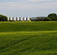 1,085 Acres For Saletwo Hills Alberta