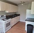 Dalhousie 3-Bedroom + Basement Townhouse