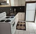 One Bdrm Basement Apt. Close To Intercity /  Private Entrance