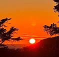 1.1 Acreage For Sale In Beautiful Bamfield Vancouver Island .