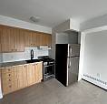 Studio For Rent In Ndg 