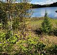 100 Acres In Magnetawan On Small Lake