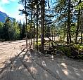 2.41 Acres In Revelstoke | Sled-In / Sled-Out |