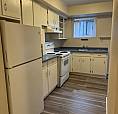 Lower Suite For Rent $1,550