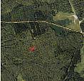 Woodlot