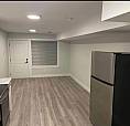 2br Pet-friendly Basement Unit 