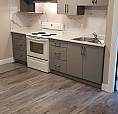 $1300 - Ground Level Bachelor Suite (studio) For Rent (surrey)