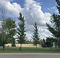 Lot For Sale, Redcliff