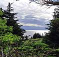 0 Trinity Road S, Turks Cove, Nl - Mls# 1249508