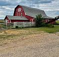 Barn And 55 Acres Of Pasture For Winter Cattle Rental
