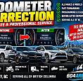 Odometer Correction & Programming   Professional