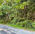 1.34 Acre Building Lot – Saturna Island