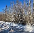 2 Acres In Rusagonis
