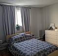 Whyte Ave 1br, Heat + Water + Parking Included