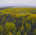  For Sale By Owner: 152 Acres Of Recreational Land
