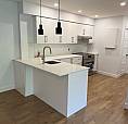 3 1/2 Newly Renovated Appartement 