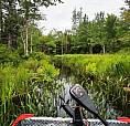 80 Acres Of Paradise 