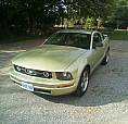 2006 Mustang  $7500 Or Trade For Atv