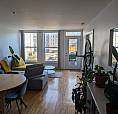 Cession De Bail – 4½ 950 Pi² – Plateau, 3 Min Métro Sherbrooke
