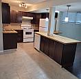 Basement For Rent