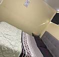 Basement For Rent