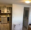 1 Bedroom Basement Big Windows