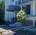 One Bedroom Apartment For Rent