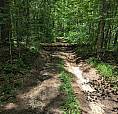 Land Share, 0.32 Ac