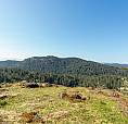 6.25 Acres - Build Your Dream Home