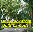 *1 Bedroom Basement Accommodation *1 Block From Campus